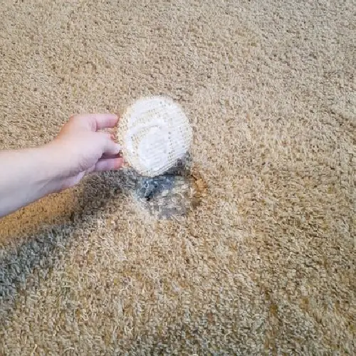 Carpet Hole Repair Canberra